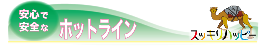 ホットライン
